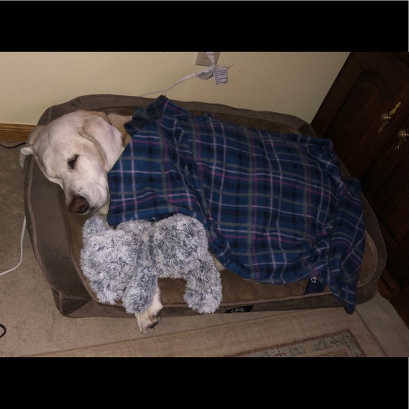 Meet your Posh Ambassador, Sandi - Picture 8 of 9